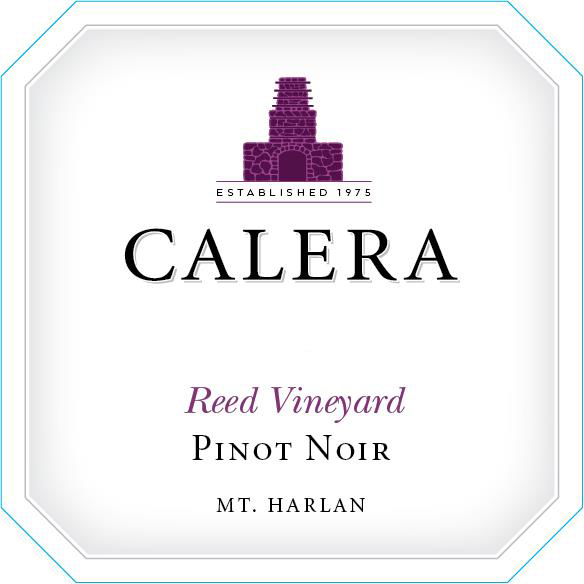 Calera Reed Vineyard Pinot Noir 2021 | Wine.com
