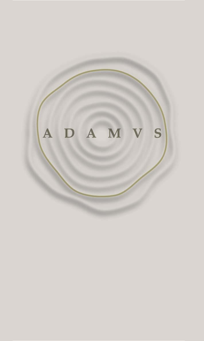 ADAMVS Sauvignon Blanc 2018 | Wine.com