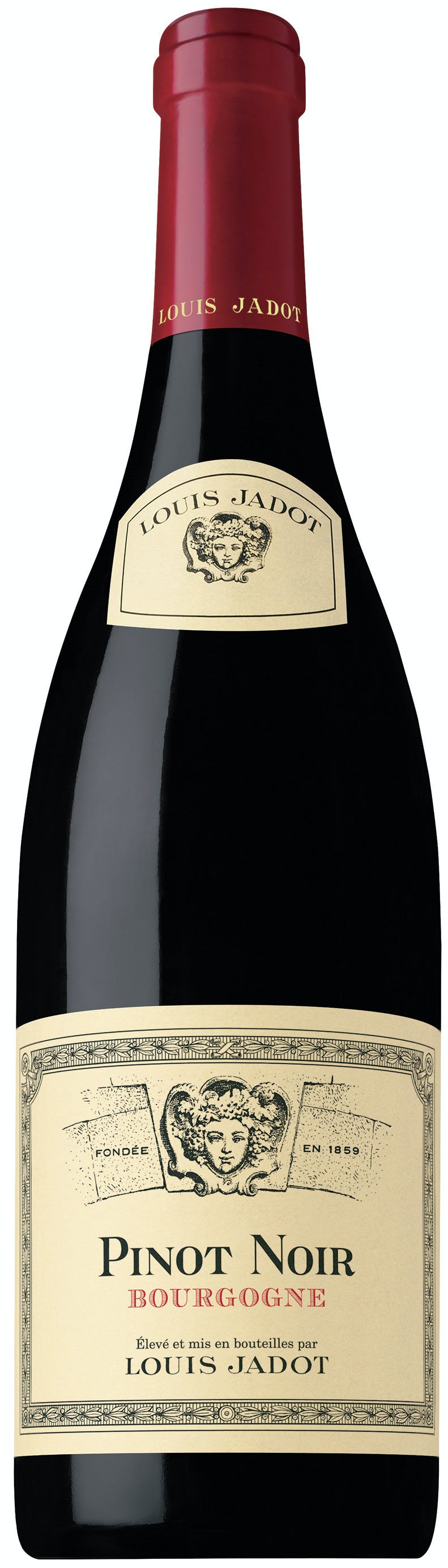 Louis Jadot Bourgogne Pinot Noir 2020 | Wine.com