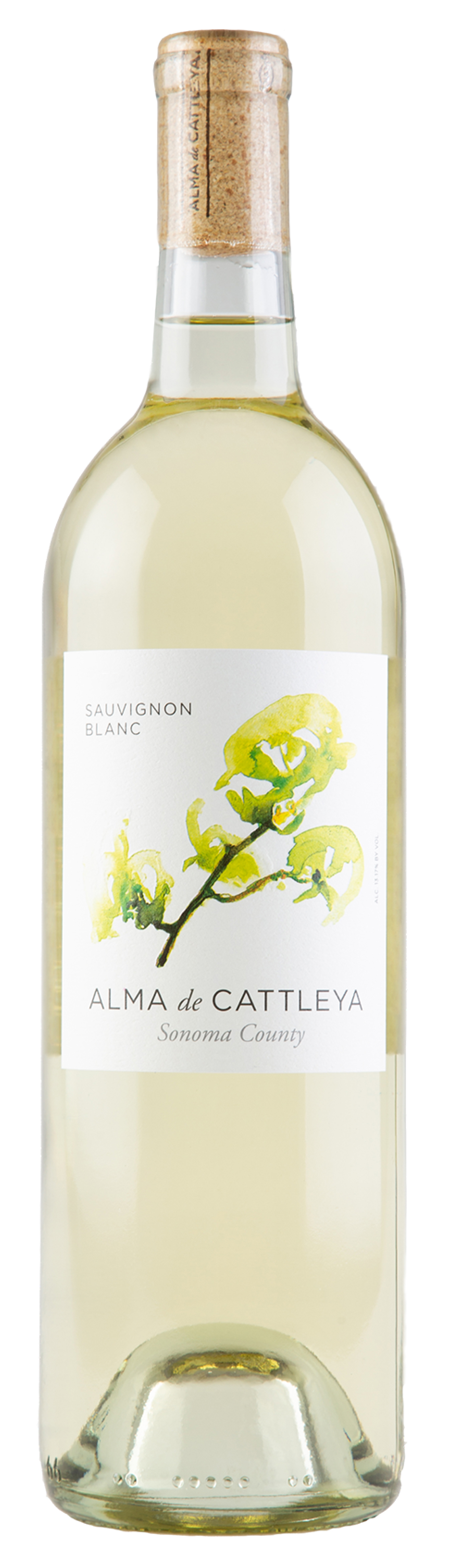 ワイン CALLAWAY 2024 Sauvignon blanc Alma de Cattleya Sauvignon Blanc 2024 | Wine.com