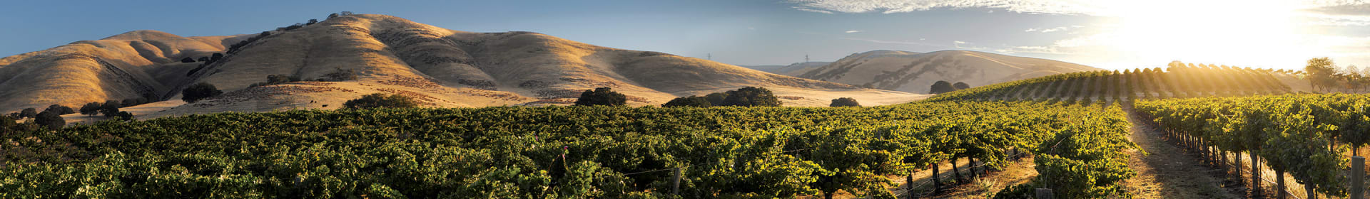 J. Lohr Vineyards & Wines
