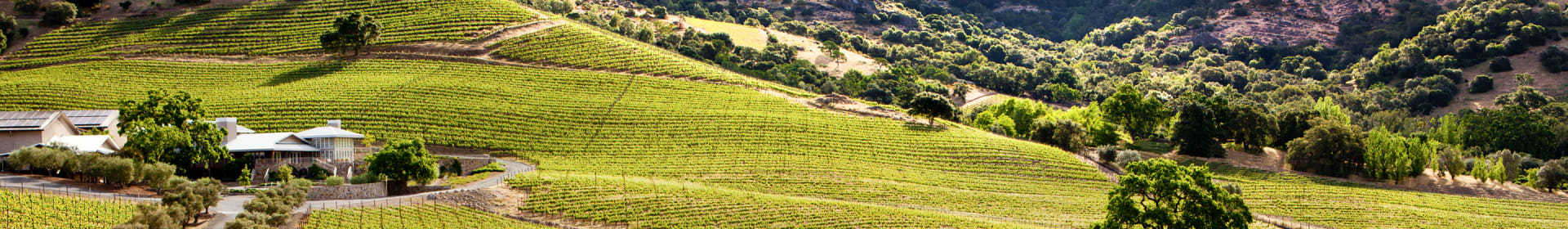 Shafer Vineyards