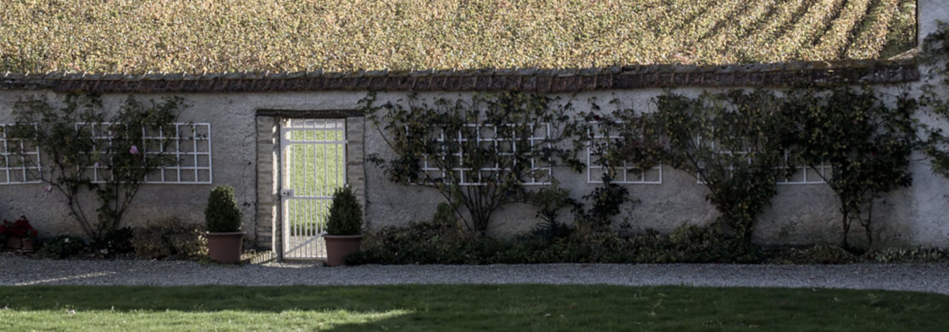 Champagne Andre Clouet