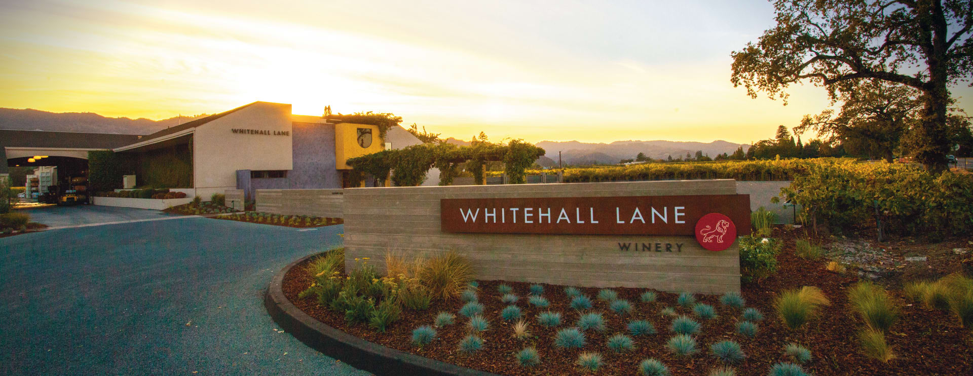 Whitehall Lane Tre Leoni 2018 | Wine.com