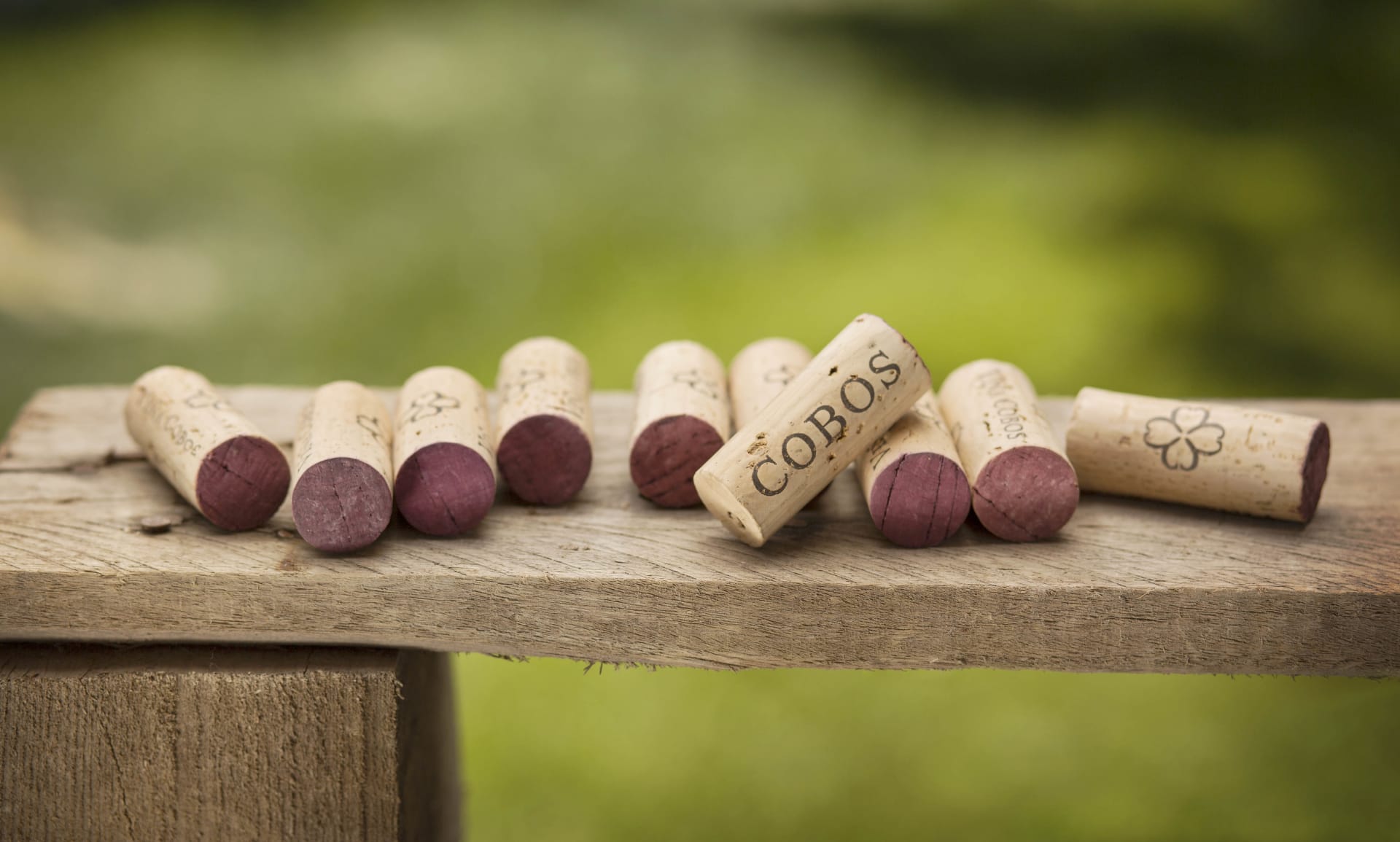 Vina Cobos Cobos Malbec 2011 | Wine.com