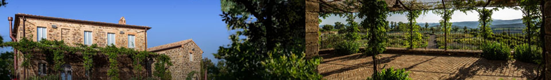 Tenuta Luce