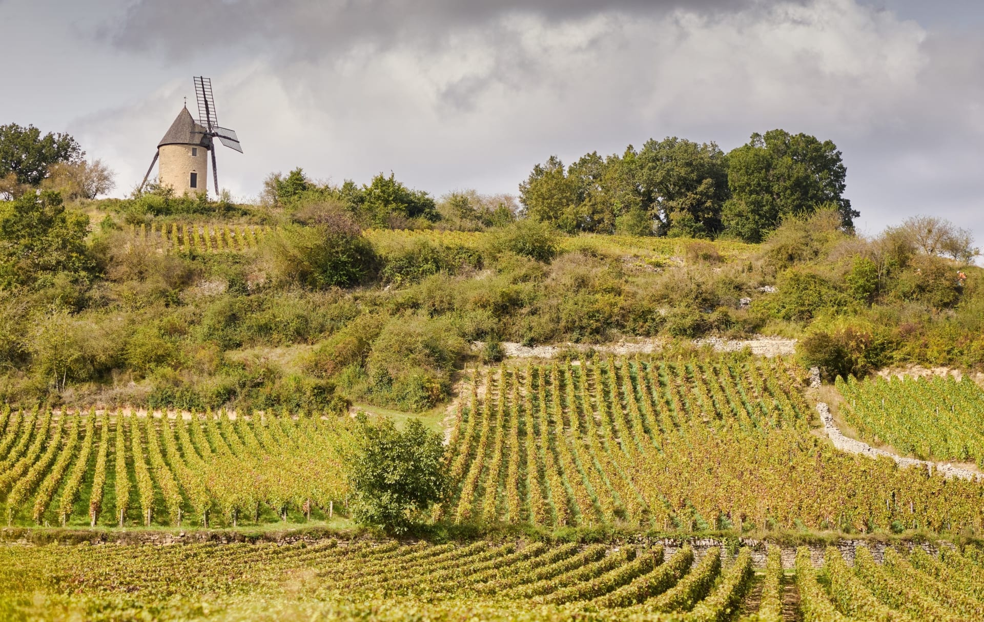 Domaine du Chateau Philippe le Hardi