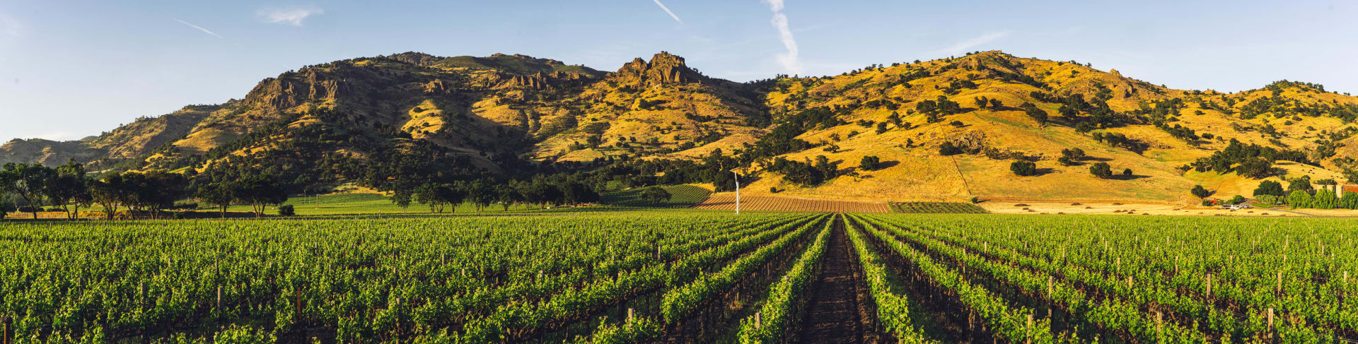 Stag's Leap Wine Cellars