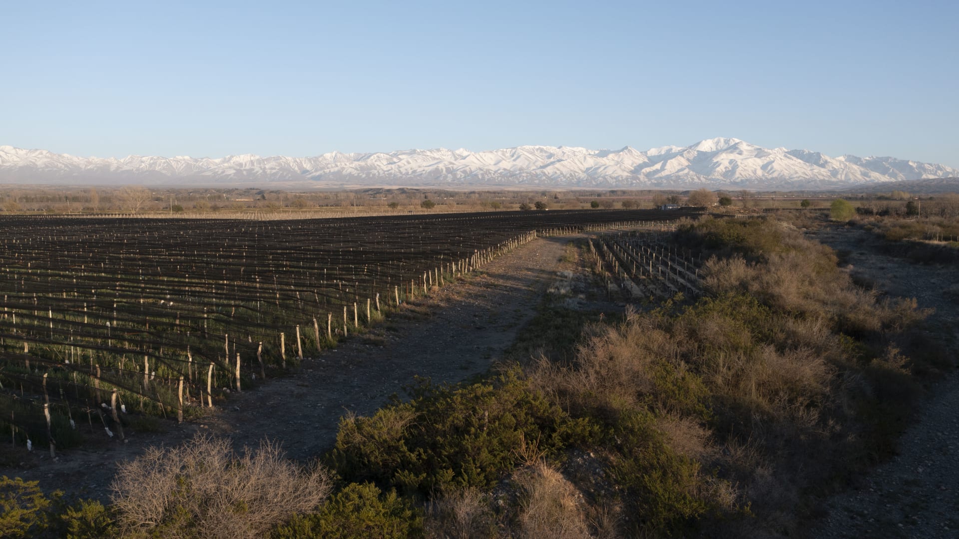 Domaine EdeM Rosae Elena de Mendoza