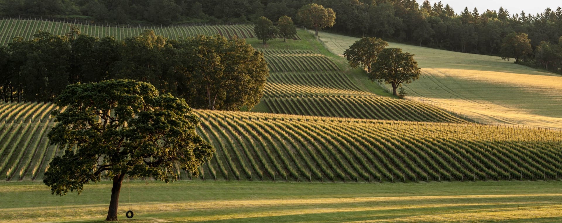 Stoller Family Estate