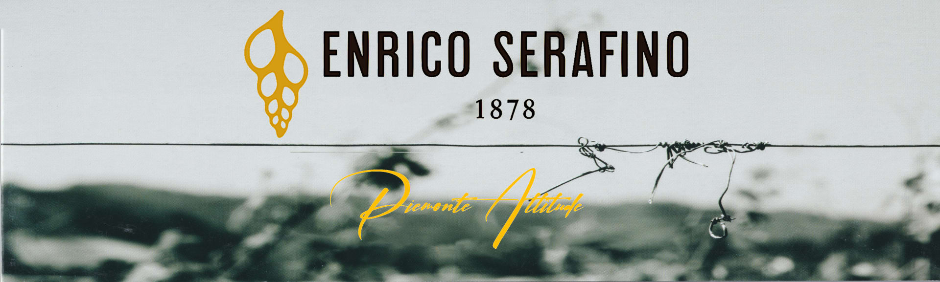 Enrico Serafino
