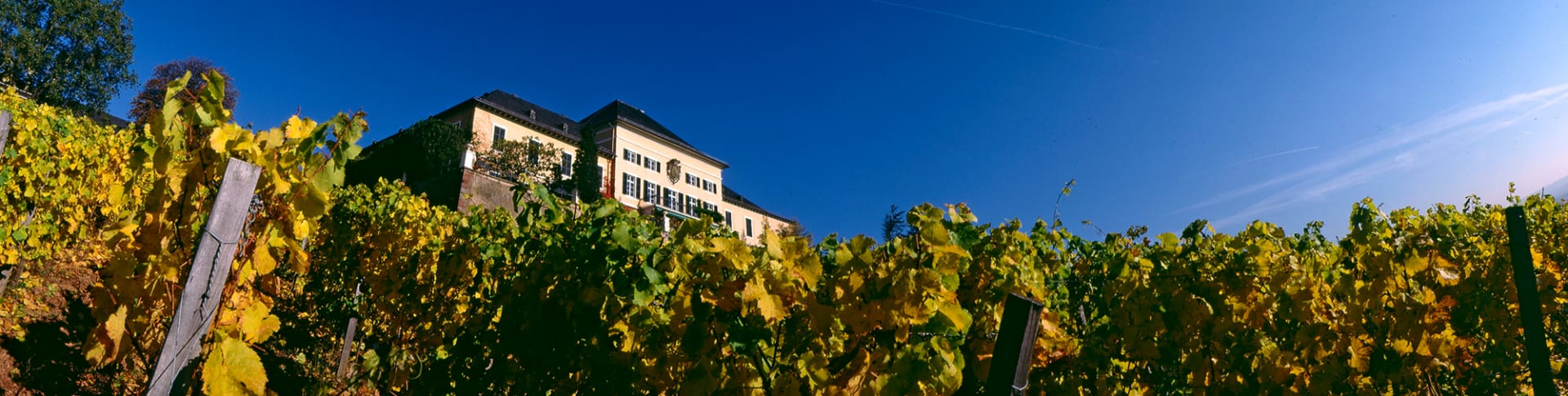 Schloss Johannisberg