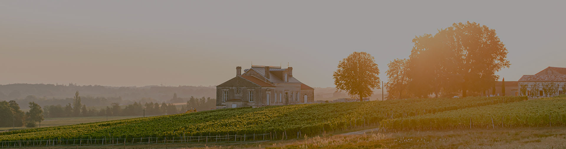 Chateau Petit Faurie de Soutard