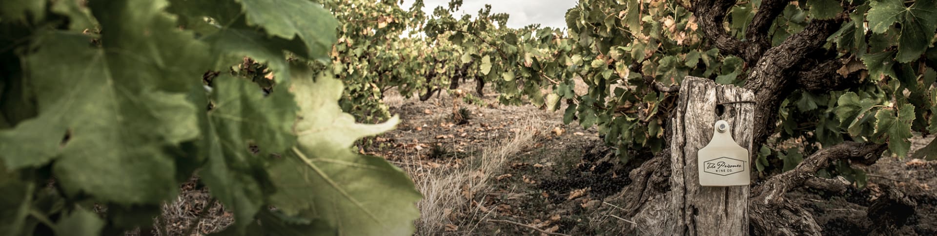 The Prisoner Wine Company