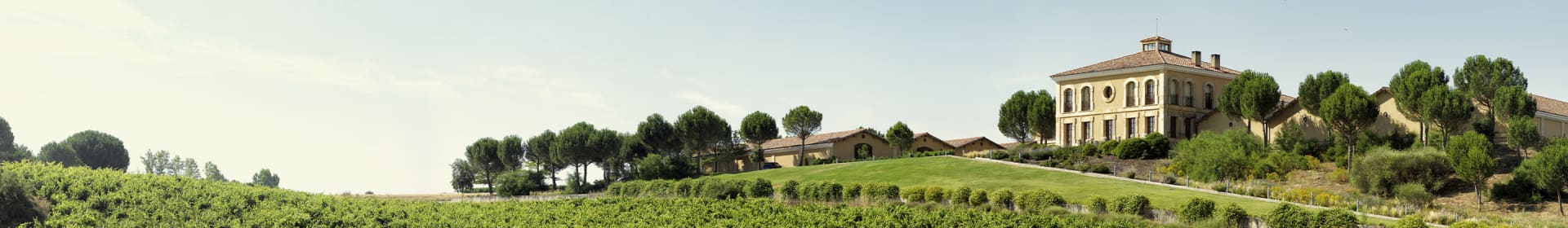 Bodegas Aster by La Rioja Alta