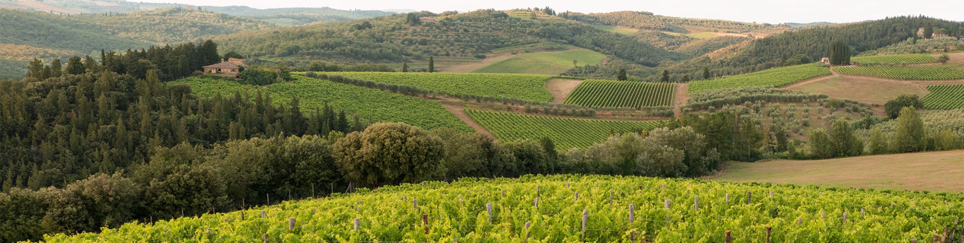 Castello di Monsanto