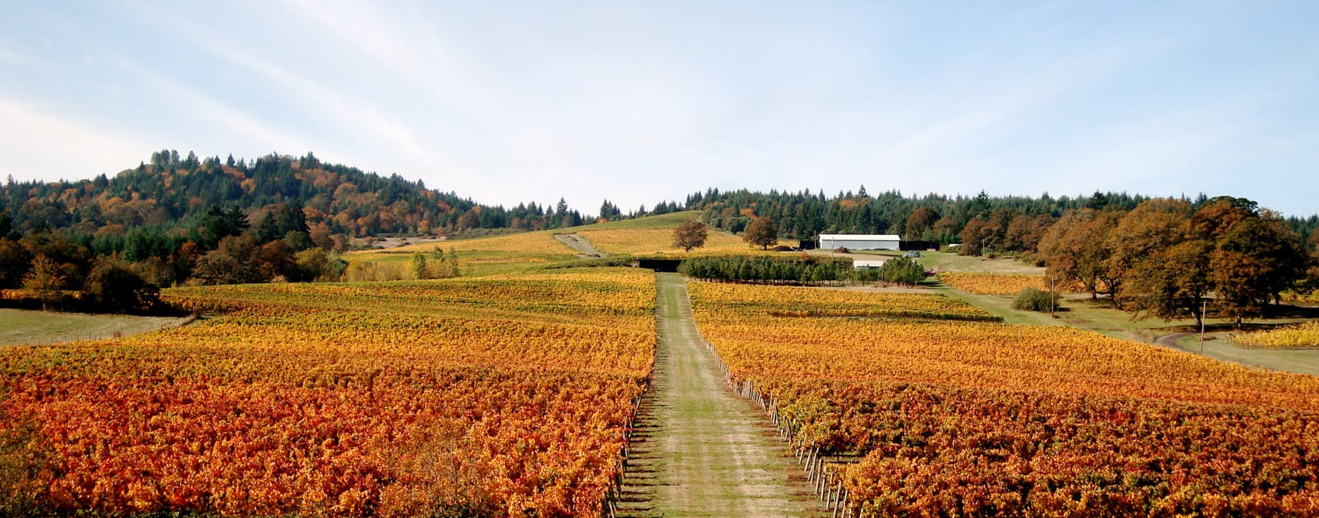 Benton Lane First Class Pinot Noir 2018