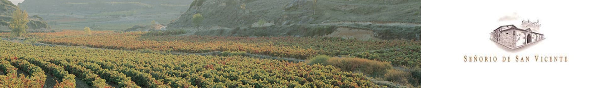 Senorio de San Vicente