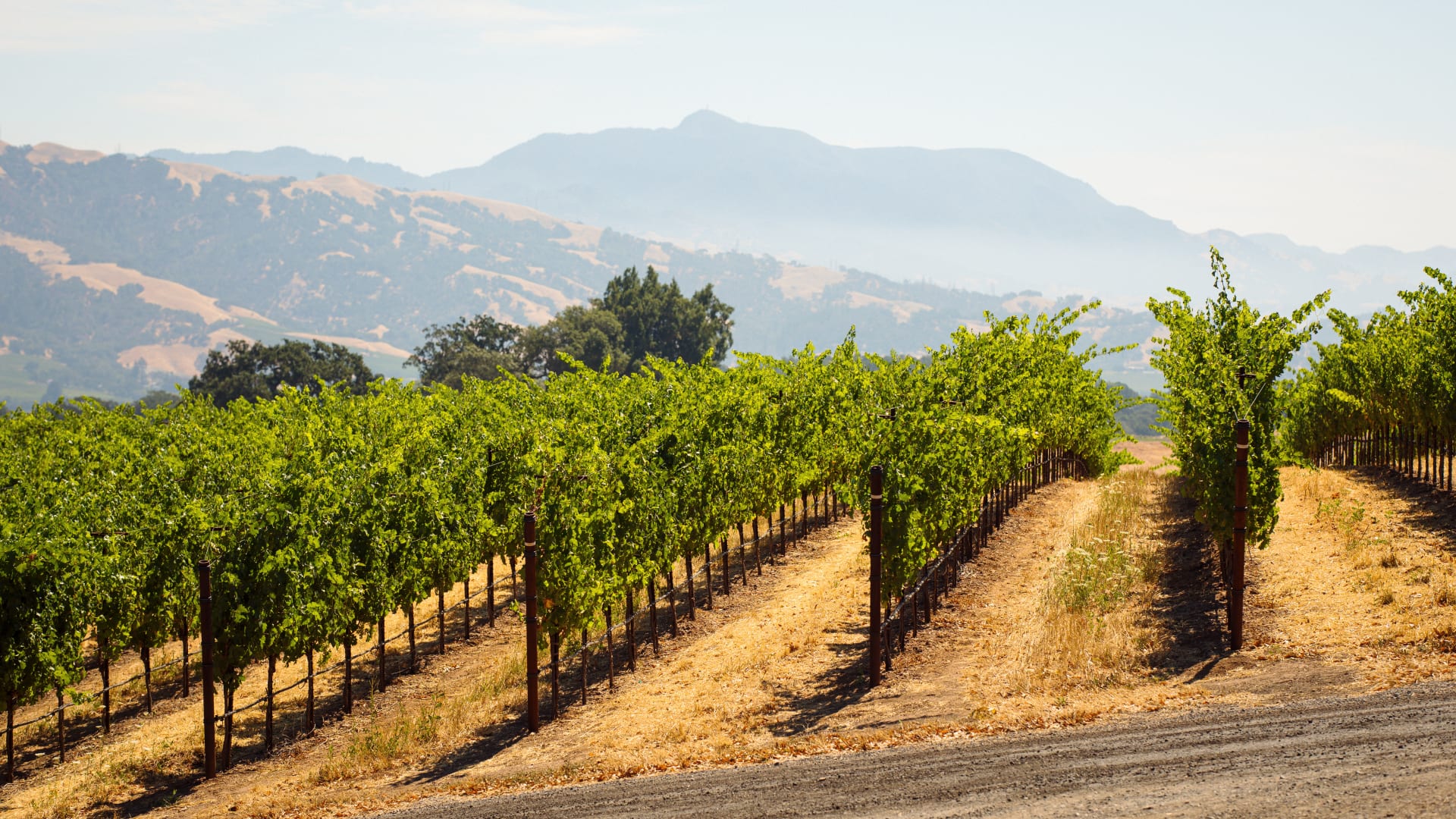 Jordan Vineyard & Winery