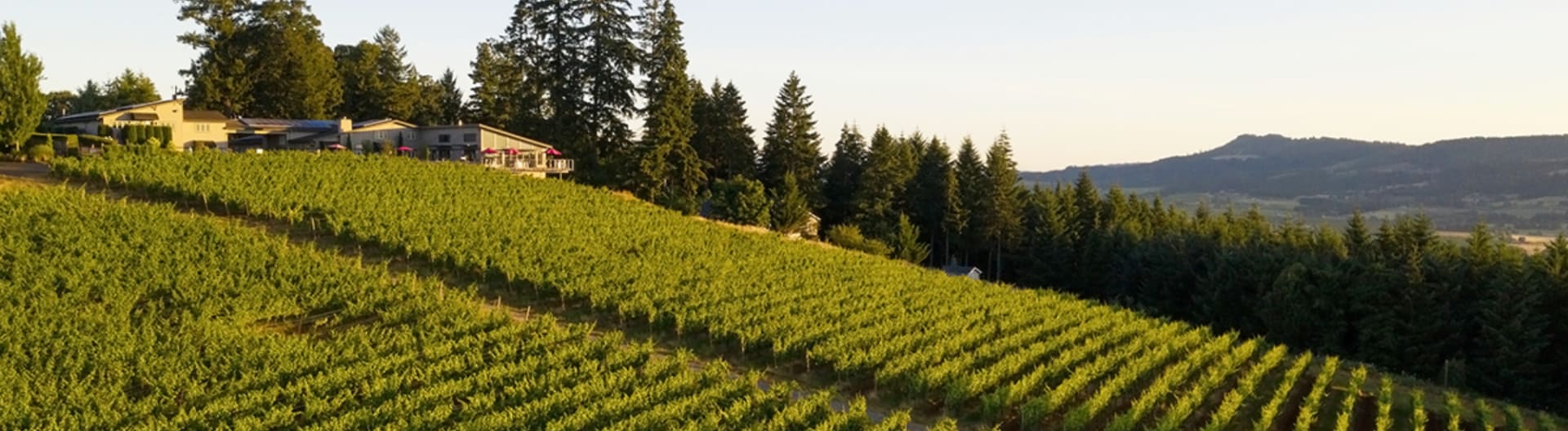 Lange Winery