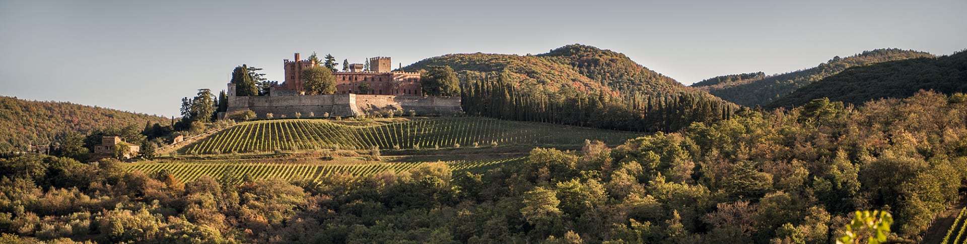 Barone Ricasoli