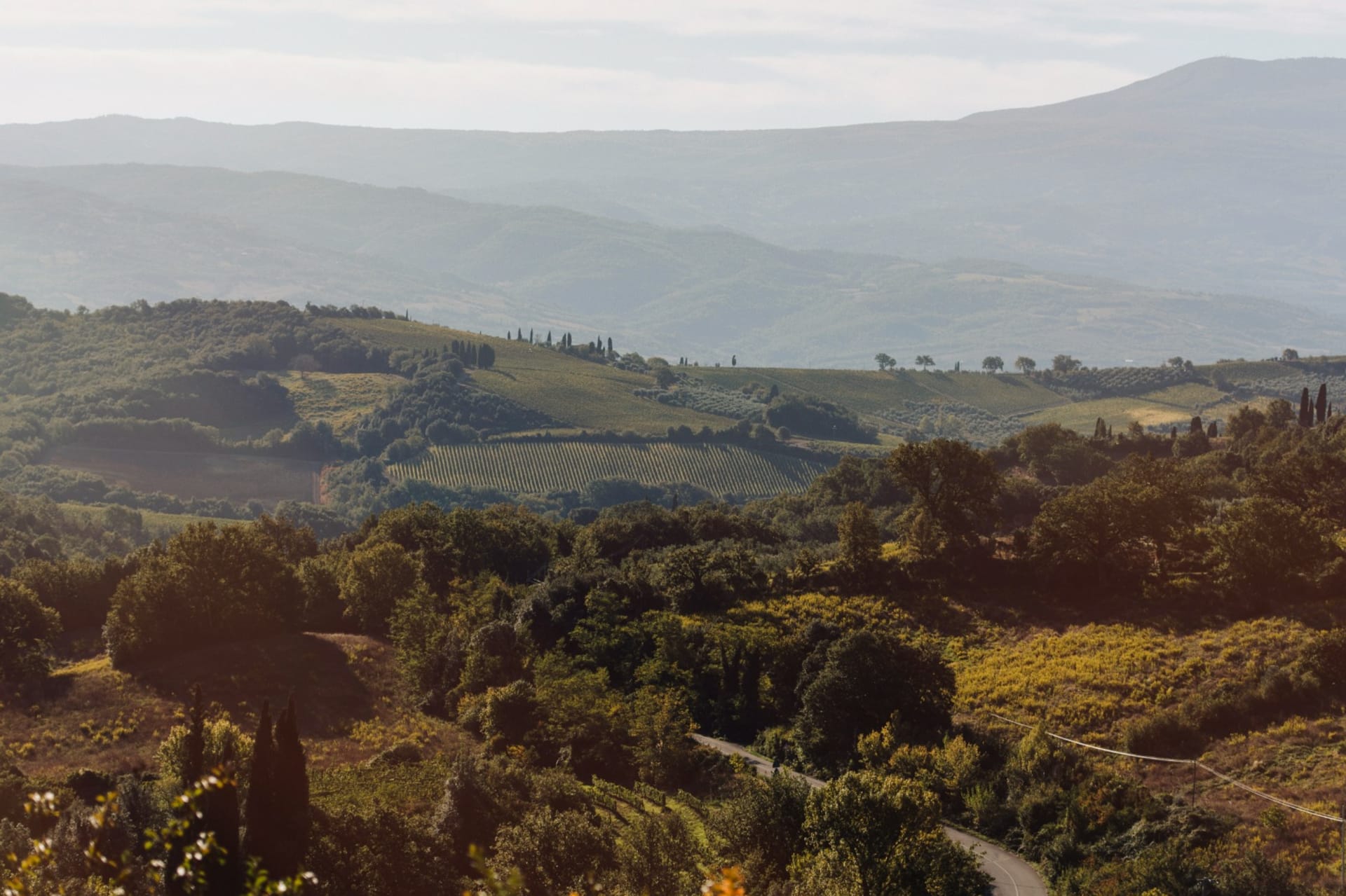 Famiglia Cotarella Montiano 2018 | Wine.com