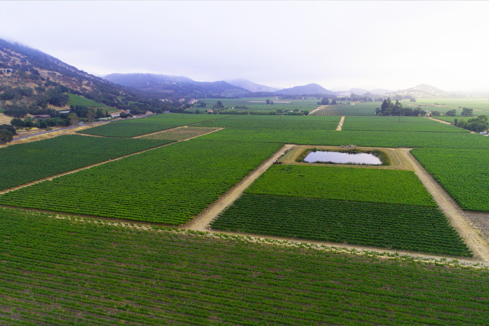 Kerr Cellars
