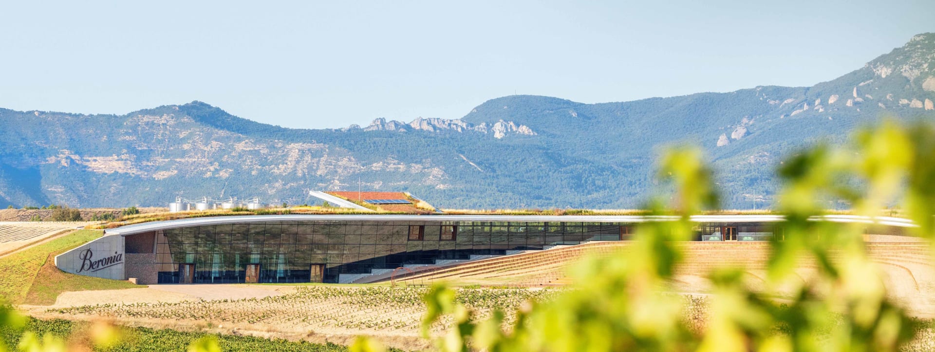 Bodegas Beronia