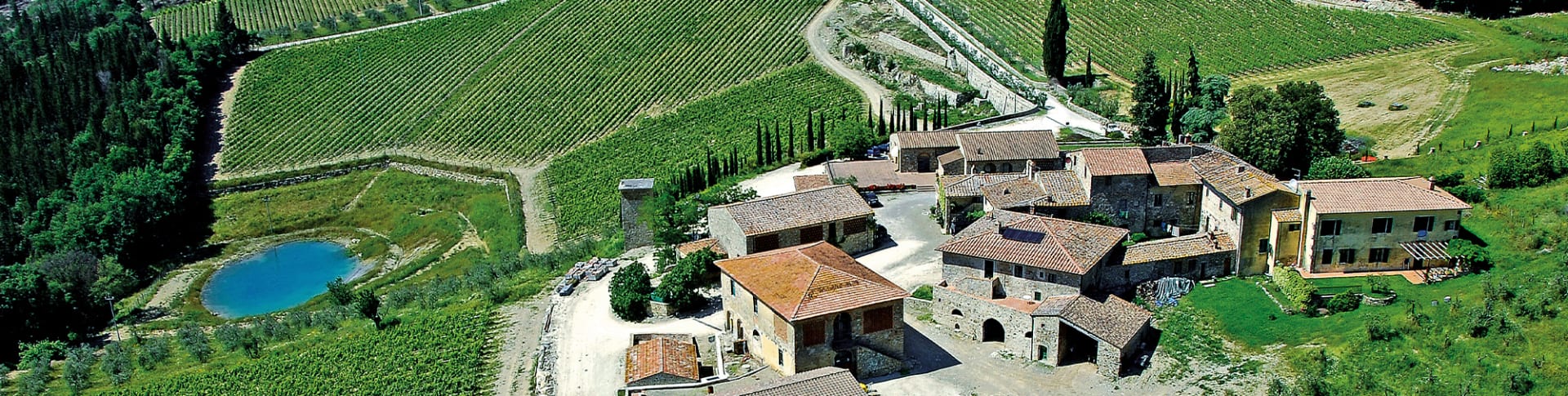 Isole e Olena Cepparello 2019 | Wine.com