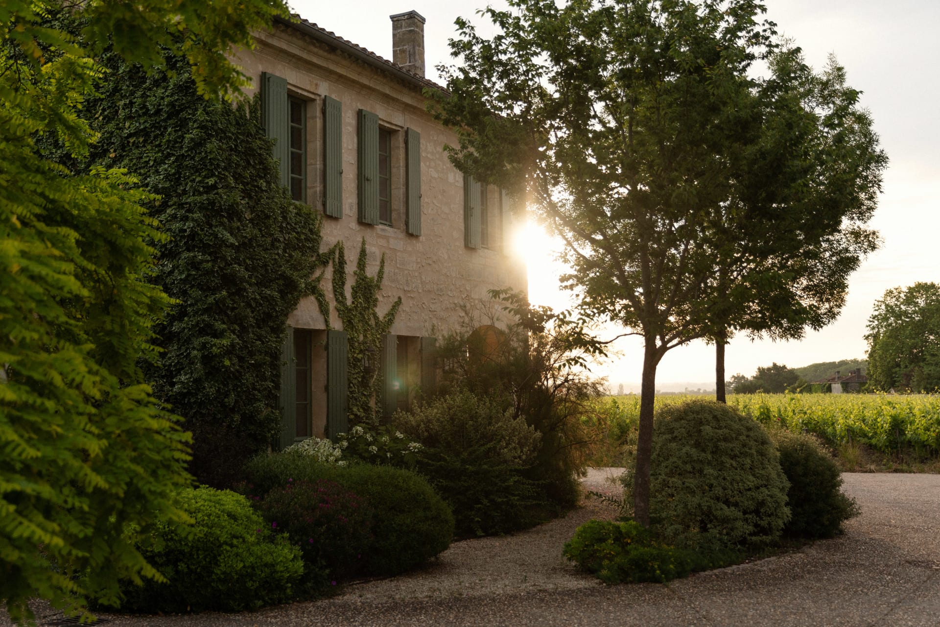 Chateau Palmer 2002 | Wine.com Chateau Palmer 2002 | Wine.com