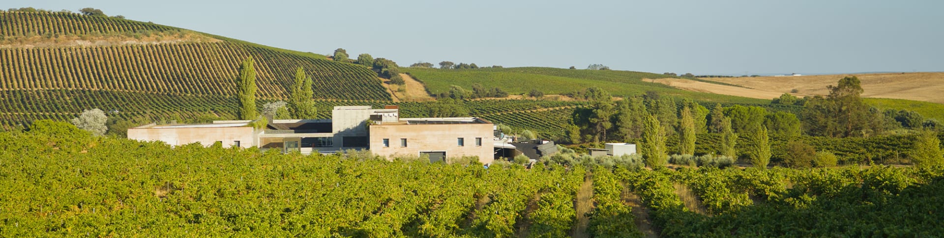 Herdade do Rocim