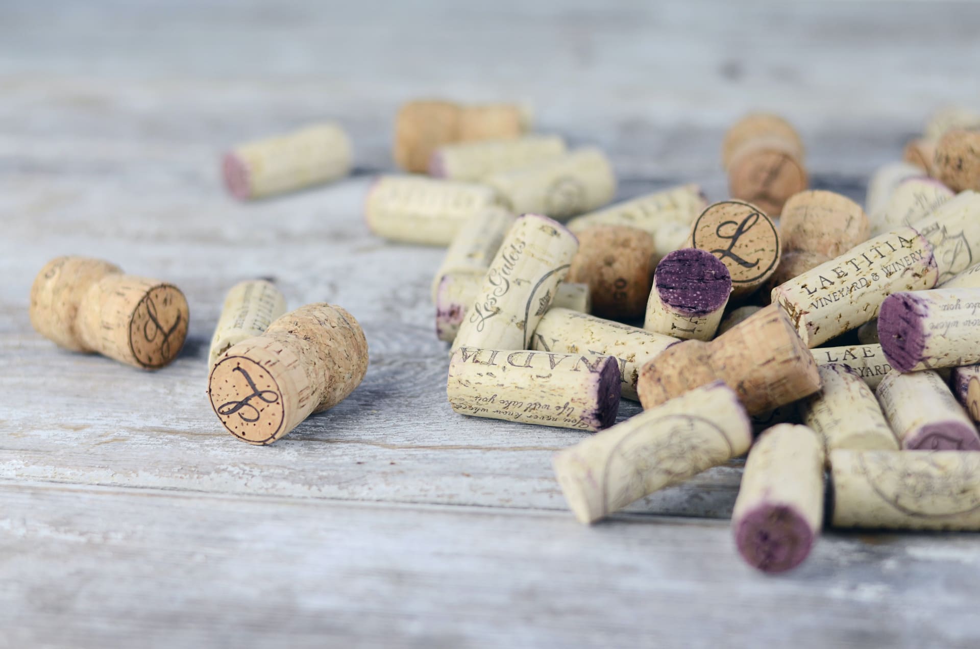 Laetitia Vineyards & Winery