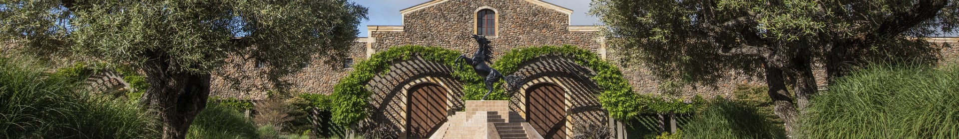 Black Stallion Estate Winery