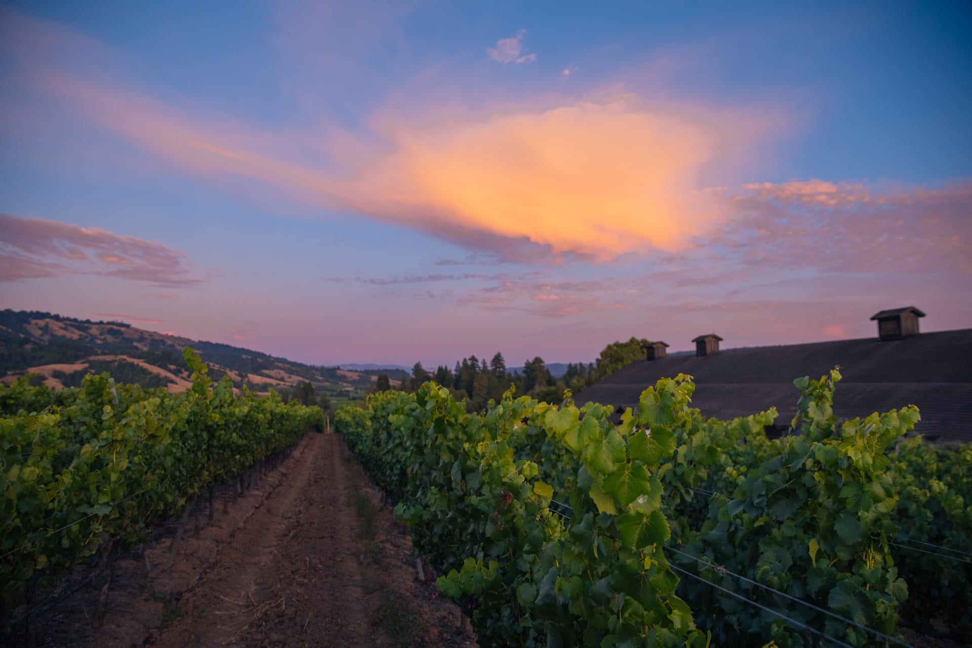 Roederer Estate Brut