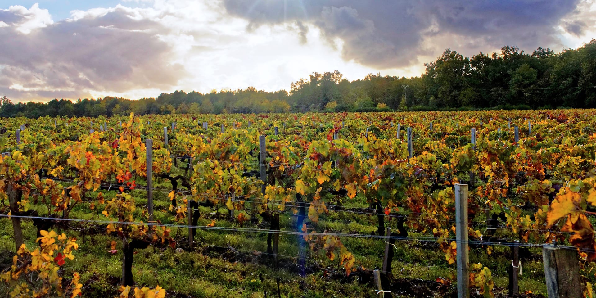 Chateau Paloumey
