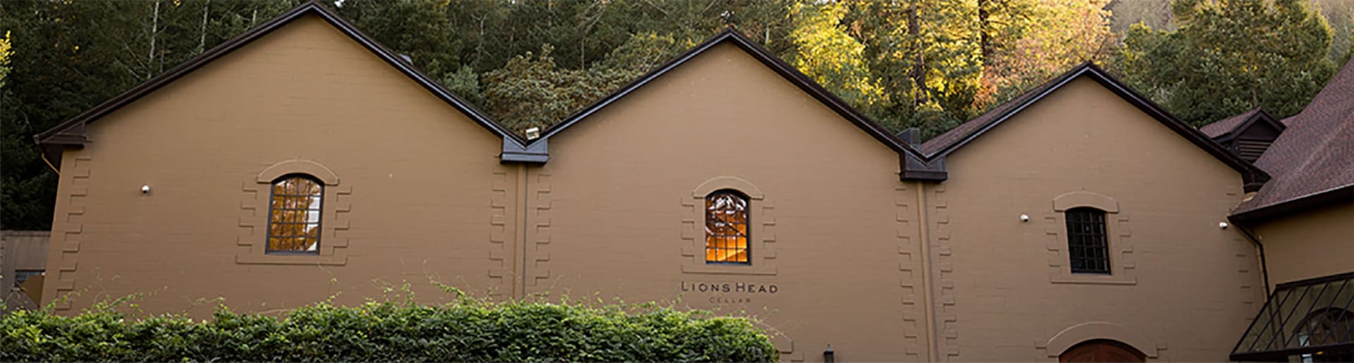 Lions Head