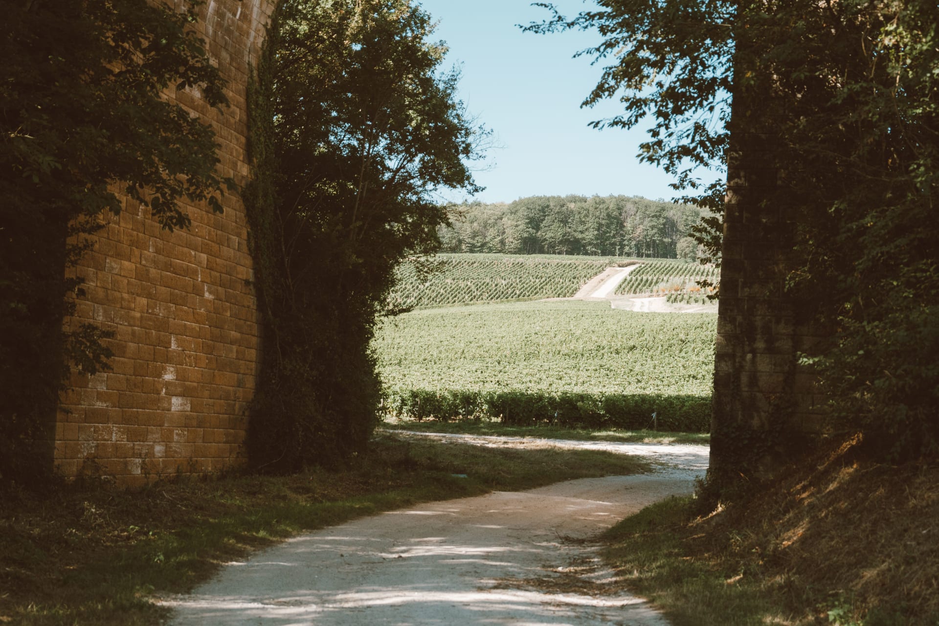 Domaine Hubert Brochard