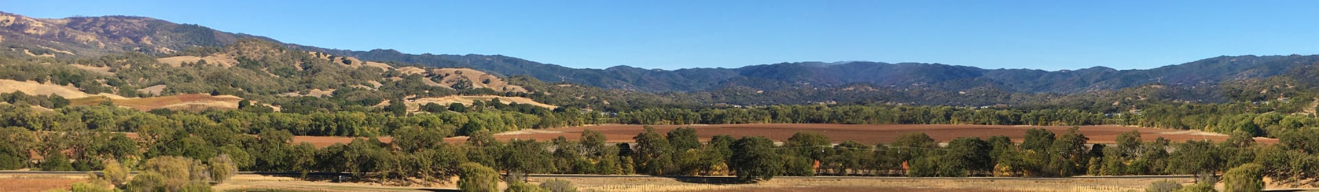 Saracina Vineyards