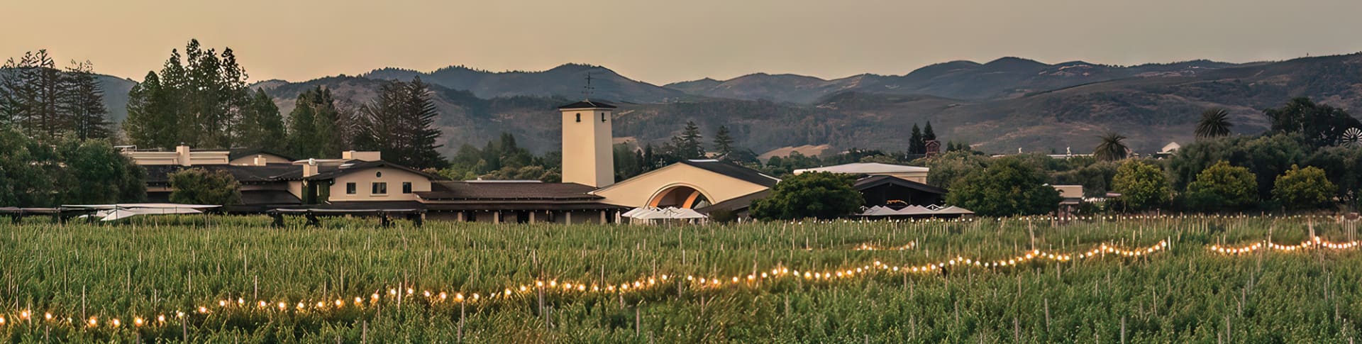 Robert Mondavi