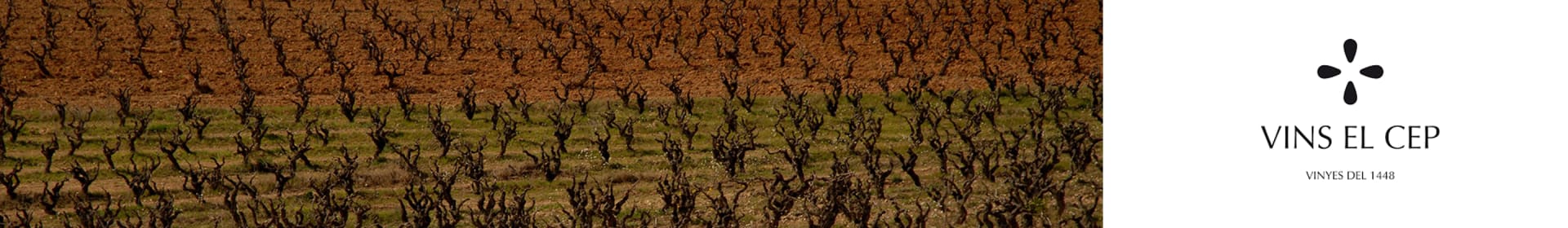 Vins el Cep