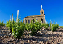 Trenel Maison Trénel's Estate Winery Image