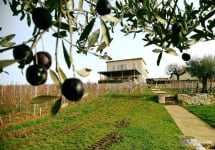 Tour Saint Christophe  Winery Image