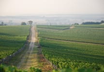 Saget la Perriere  Winery Image