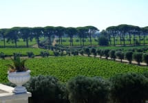 Li Veli Masseria Li Veli Estate Winery Image