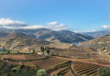 Maynard's Maynard's Vineyards Winery Image