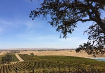 Iron + Sand El Pomar District AVA Winery Image