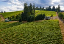 Purple Hands Vineyard Winery Image