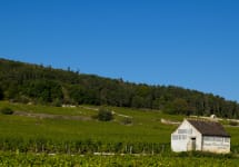 Frederic Esmonin Winery Image