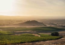 Kosta Browne Gaps Crown Vineyard Winery Image