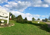 Domaine LeSeurre Winery Image